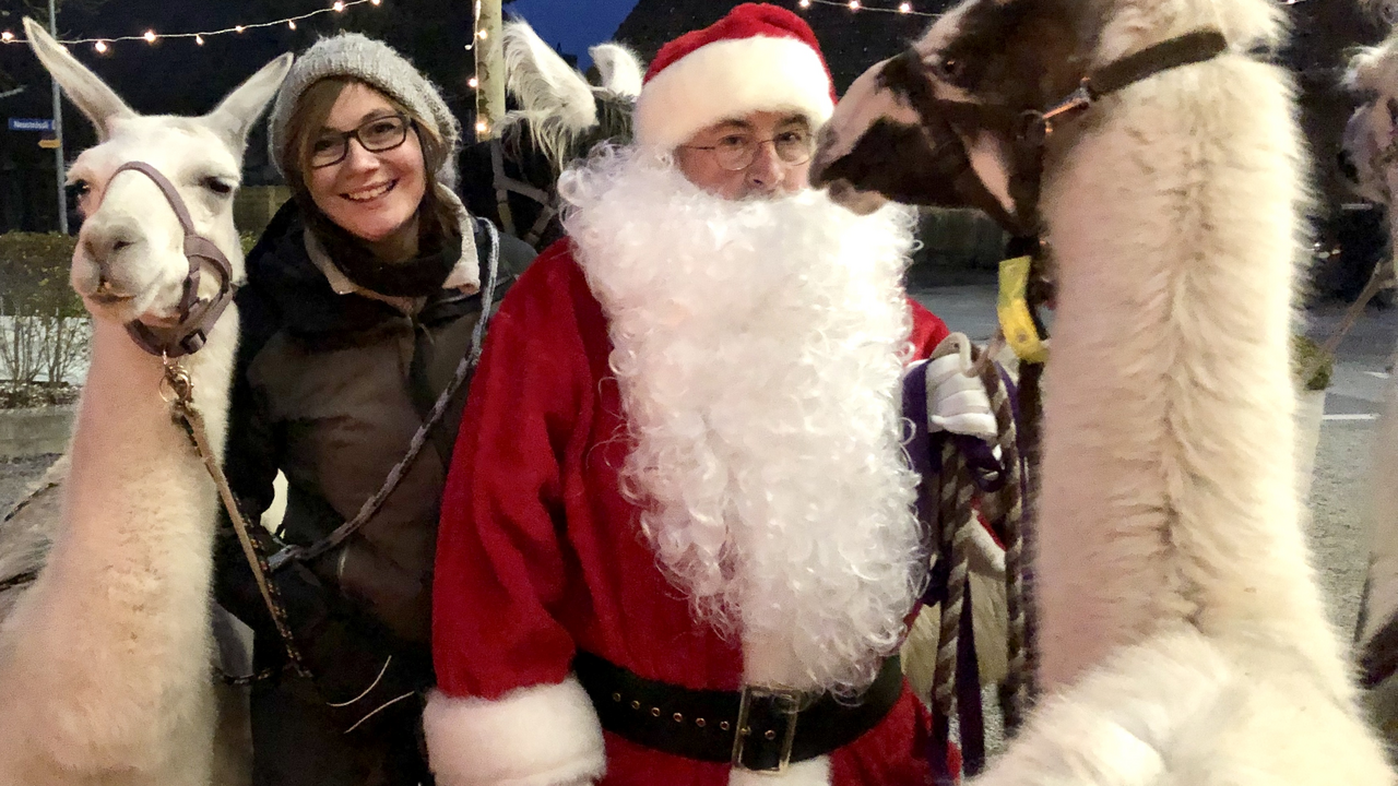 Weihnachtszauber mit Lama-Spass Entspannen Sie sich von den Festivitäten des Dezembers und geniessen Sie den Weihnachtszauber, in dem es nur um Ihr Wohl geht! Sie brauchen sich nicht einmal um die Hinfahrt zu kümmern. Wir holen Sie und Ihre Gäste (ob privat oder als Firmenanlass gedacht) von Ihrem Standort ab und fahren Sie mit einem der speziellen Busse zum Lamatrekking. Im Anschluss geht die Reise für Sie weiter in eines der begehrten Restaurants an der schönen Aare Solothurns. Nach dem Lamatrekking wird Ihnen ein köstliches Apéro serviert, gefolgt von einem Menu Ihrer Wahl oder dem Lappland-Spass.