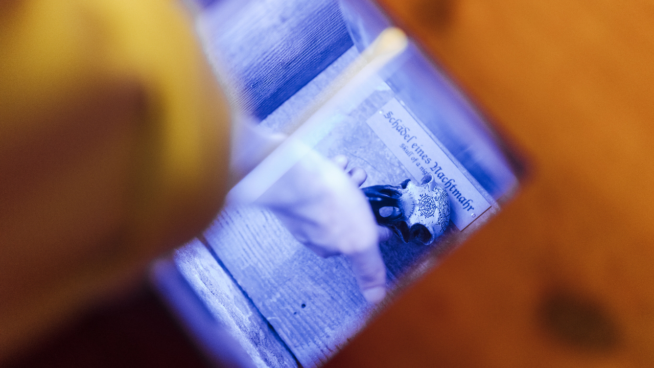 Im Geheimgang erlebt ihr während einer Stunde eine spannende Geschichte, bei der ihr selbst Teil der Geschehnisse werdet und den Ausgang der Geschichte beeinflussen könnt. Es braucht Beobachtungsgabe, Geschicklichkeit und Zusammenarbeit. Teambuilding pur!