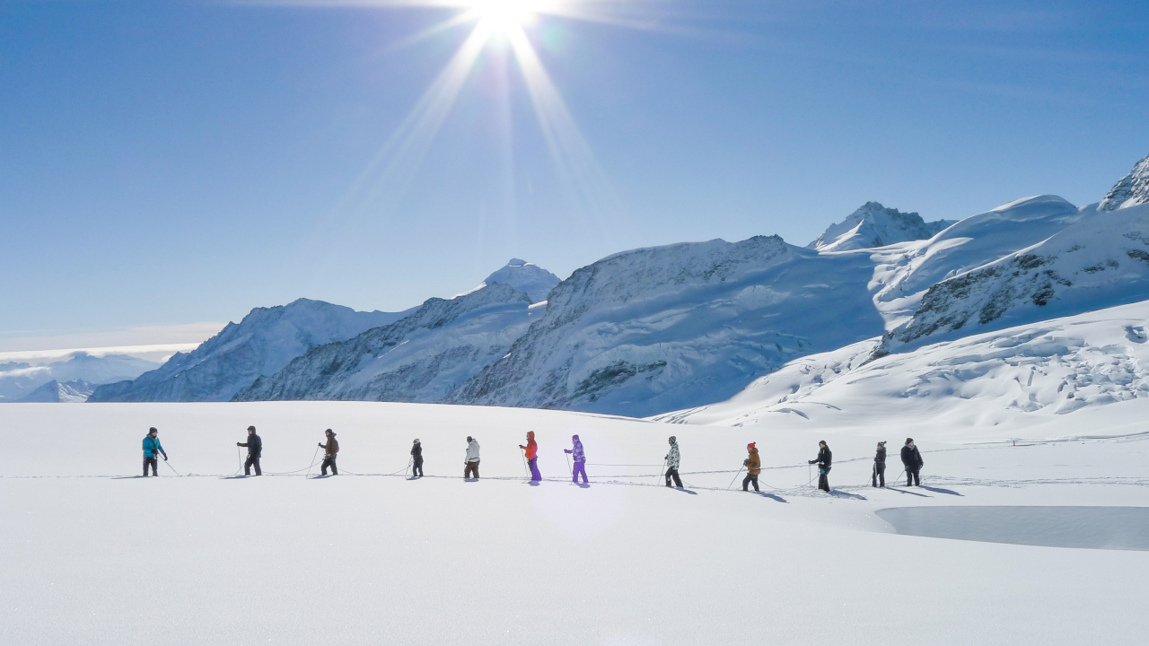 Gletschererlebnis als Teamevent: Erleben Sie einen unvergesslichen Tag auf 3454 Metern über Meer inmitten der Kulisse der Berner und Walliser Alpen und des gewaltigen Aletschgletschers.