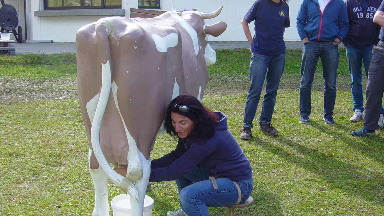 Bergspiele Teamchallenge Stellen Sie Ihr Können an der Bergolympiade unter Beweis und geniessen Sie einen wunderschönen Bergsommertag auf der Alp! Mit der Gondelbahn geht es hoch zur Wettkampfarena, wo traditionell-schweizerische Disziplinen auf Sie warten.
