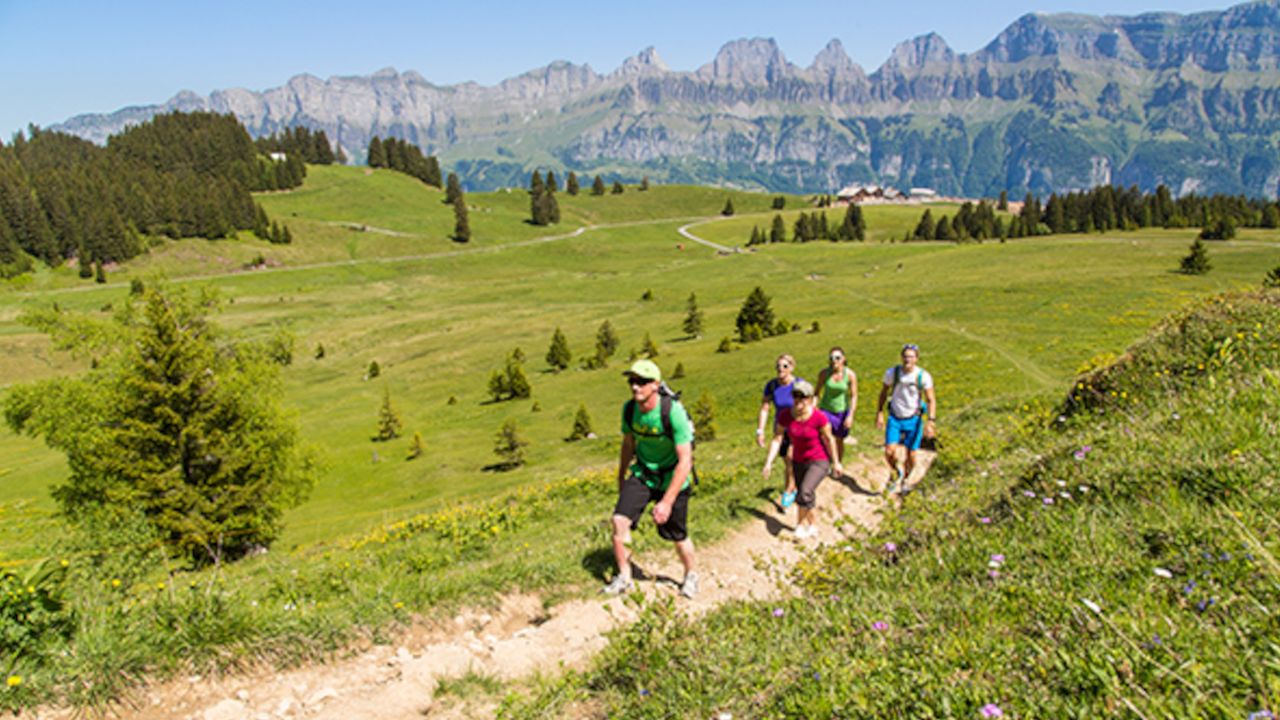 Beim Gruppenausflug am Flumserberg ist für jeden Geschmack etwas dabei: Käsen wie zu alten Zeiten, Panoramawanderung und Nervenkitzel auf der Rodelbahn.