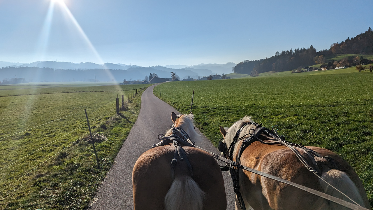 Starte den Tag mit einer malerischen Kutschenfahrt über die Panoramaroute des Emmentals und lasse dich durch die heile Welt zwischen Bauerngärten, Hügeln und Wiesen führen. Ein gemütlicher Apéro stimmt dich perfekt auf das Essen im charmanten Hofrestaurant des Eventhofes ein. Bei schönem Wetter geniesst du die Spezialitäten auf der idyllischen Gartenterrasse mit traumhaftem Blick. Erlebe echte Emmentaler Gastfreundschaft und lass dich verwöhnen.