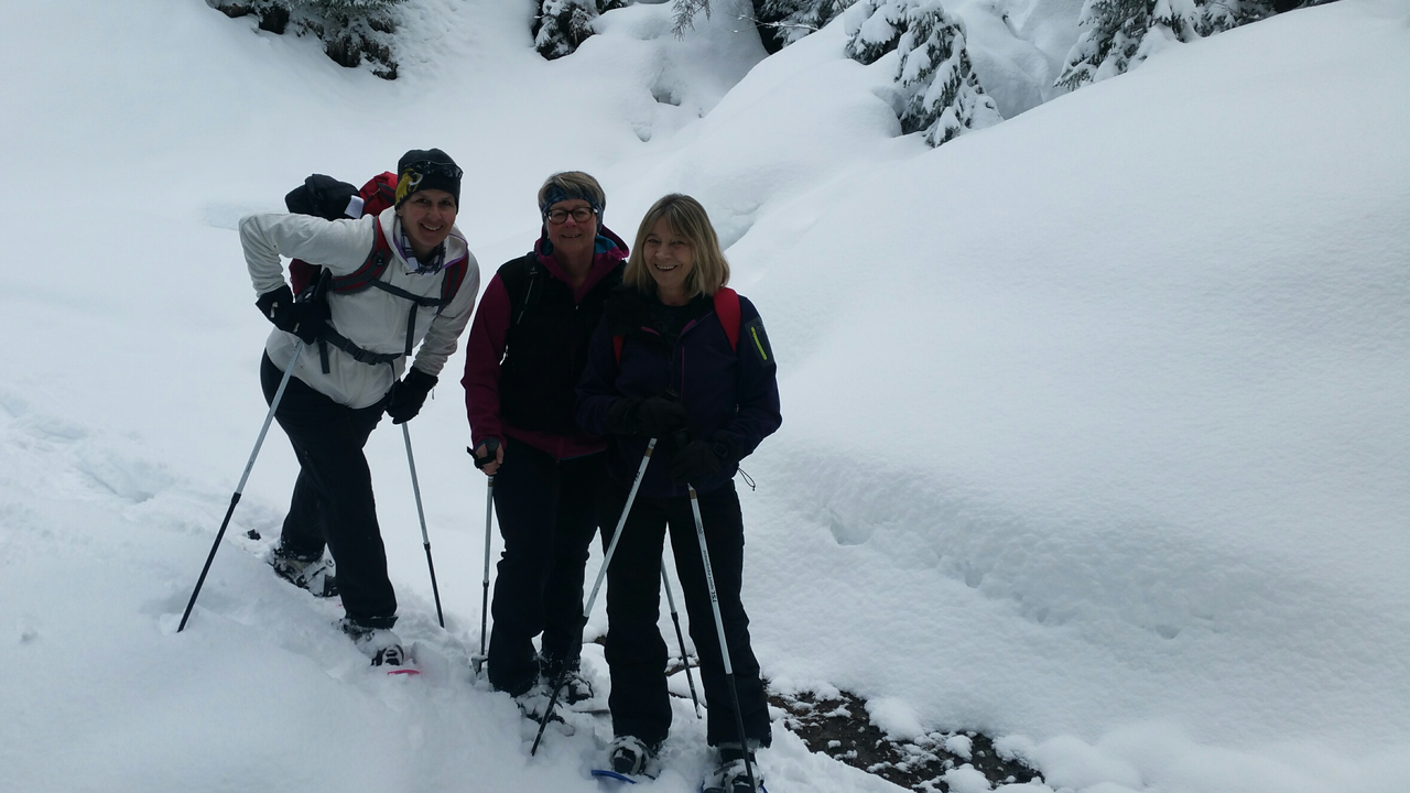 Schneehschuhtour Erlebnisausflug: Sie legen die Schneeschuhe an und lassen Hektik und Stress hinter sich. Die Tour führt von Adelboden hinauf zur Bonderalp. Unberührte Natur und eine traumhafte Winterlandschaft erwarten Sie.