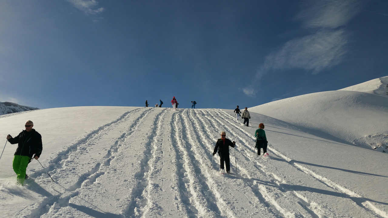 Schneeschuhtour zum Fondue-Iglu Sie legen die Schneeschuhe an und lassen Hektik und Stress hinter sich. Die Tour führt über das Hochplateau der Engstligenalp. Unberührte Natur und eine traumhafte Winterlandschaft erwarten Sie. Und am Ziel, im Fondue-Iglu, wartet die verdiente Stärkung.