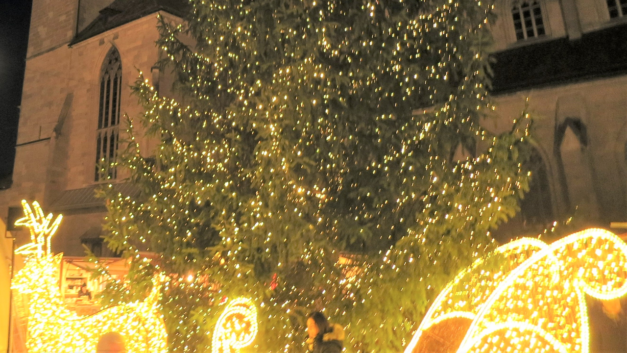 Voyage Culinaire Weihnachtsfeier Entdecken Sie das weihnachtlich kulinarische Erlebnis in einer Stadt Ihrer Wahl Unser beliebtes und abwechslungsreiches kulinarisches Programm besteht aus einer geführten Stadtbesichtigung, einem 3- Gang Menü in 1 - 2 Restaurants, einer Gastro Team Challenge mit 3 Teamaktivitäten sowie einer kurzen Weinpräsentation Ihrer gewählten Weine. Durch die Durchmischung der Gruppe bei jedem Programmpunkt wird die Abwechslung und die Kommunikation sowie das bessere Kennenlernen gegenüber einem konventionellen Restaurantbesuch gefördert. Die ideale Kombination aus Team-Spirit, Unterhaltung, Spass, Sightseeing und kulinarischen Genuss.