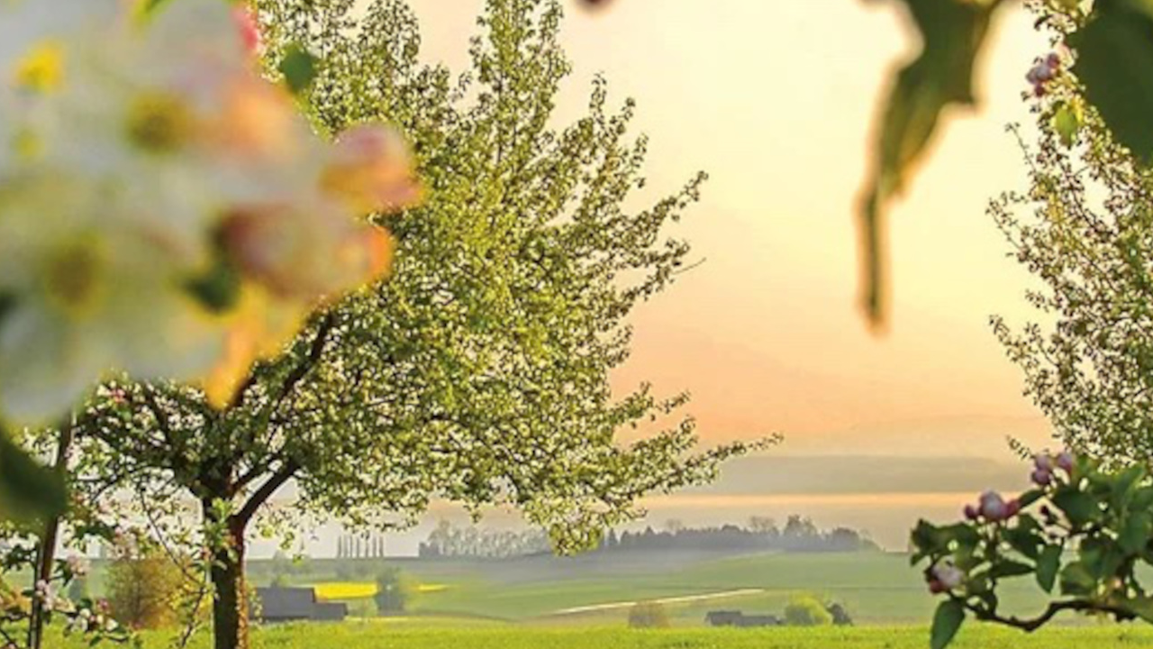 Romantik am See Lassen Sie sich mit Ihrer liebsten Person bei einem romantischen Wochenende im historischen Restaurant-Hotel so richtig verwöhnen und lernen Sie dabei die schöne Bodenseeregion besser kennen. Das charmante Hotel ist zentral gelegen, nur wenige Schritte vom Bodensee und unweit von UNESCO Weltkulturerbe St. Gallen entfernt. Ein idealer Ort für ein romantisches Wochenende zu zweit!