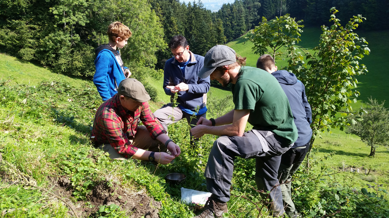 Gutschein Survival Weekend Zwei Tage in und mit der Natur leben. Erlerne die wichtigsten Survival-Grundlagen und erfahre dabei die Natur ganz nah. Ein unvergessliches Erlebnis.