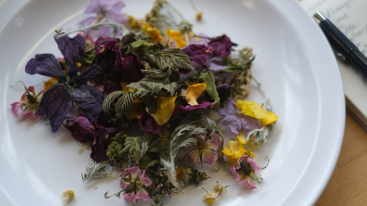 Kräuter-Tee-Workshop in alpiner Permakulturlandschaft Hoch über dem Brienzersee, eingebettet in eine einzigartige Permakulturlandschaft, erwartet Sie ein duftendes und geschmackvolles Erlebnis: Unser Kräuter-Tee-Workshop führt auf einer sinnlichen Entdeckungsreise durch die Vielfalt unserer Bergkräuter – vom aromatischen Klassiker bis zur überraschenden Rarität. Ab dem ersten Schritt in den Kräuterterrassen umhüllt Sie der betörende Duft von Muskatellersalbei, Melisse, Bergbohnenkraut und vielen weiteren Pflanzen. Hier gedeihen unzählige Kräuter in reiner Bergluft, von Hand gepflegt und geerntet. Die Höhenlage und die intensive Sonneneinstrahlung lassen besonders aromatische und wirkstoffreiche Pflanzen entstehen.