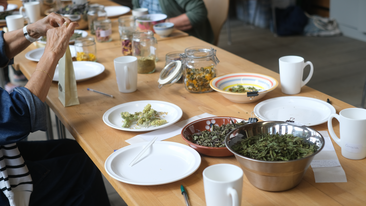 Hoch über dem Brienzersee, eingebettet in eine einzigartige Permakulturlandschaft, erwartet Sie ein duftendes und geschmackvolles Erlebnis: Unser Kräuter-Tee-Workshop führt auf einer sinnlichen Entdeckungsreise durch die Vielfalt unserer Bergkräuter – vom aromatischen Klassiker bis zur überraschenden Rarität. Ab dem ersten Schritt in den Kräuterterrassen umhüllt Sie der betörende Duft von Muskatellersalbei, Melisse, Bergbohnenkraut und vielen weiteren Pflanzen. Hier gedeihen unzählige Kräuter in reiner Bergluft, von Hand gepflegt und geerntet. Die Höhenlage und die intensive Sonneneinstrahlung lassen besonders aromatische und wirkstoffreiche Pflanzen entstehen.