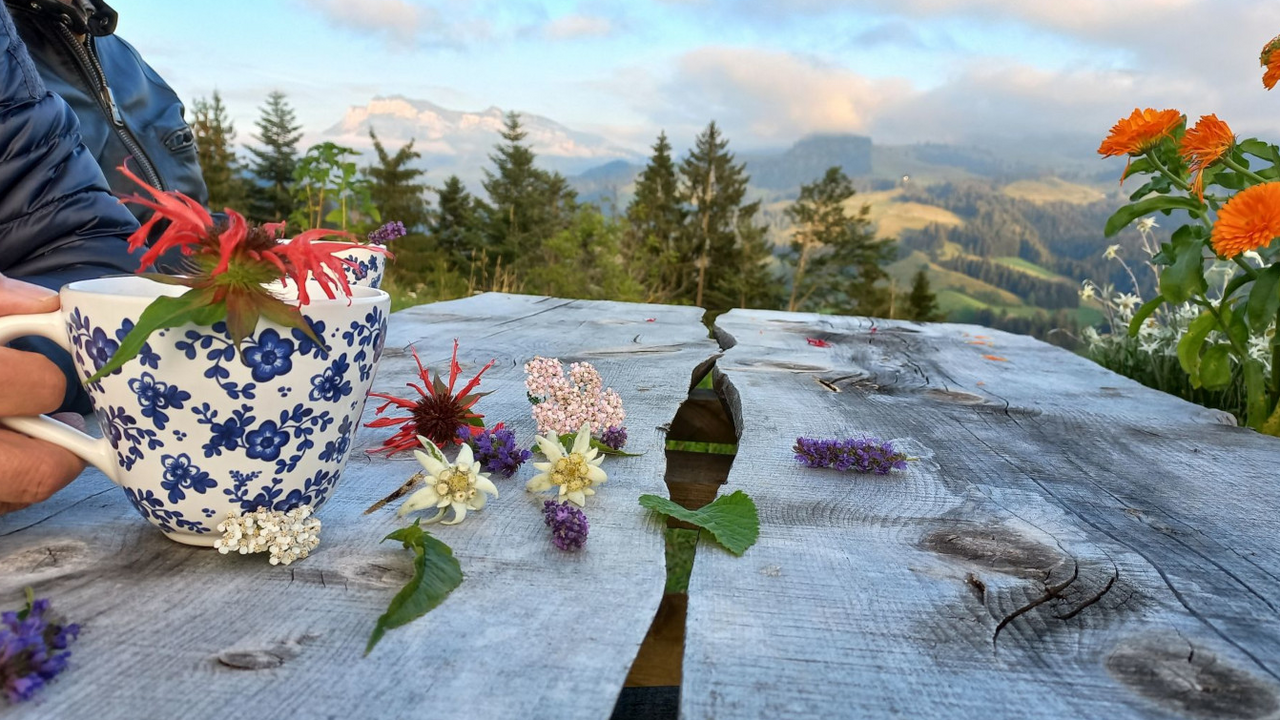 Kräuter Tee Workshop Erleben Sie die erfrischendste Art, Tee zu geniessen! Auf unserer idyllischen Kräuterinsel kultivieren wir eine beeindruckende Vielfalt an klassischen und exotischen Pflanzen. Hier haben Sie die Gelegenheit, diese Kräuter hautnah zu entdecken und frisch zu verkosten, während Sie von einer atemberaubenden Bergkulisse umgeben sind. Ihr Erlebnis beginnt mit einer faszinierenden Einführung in die Welt der Kräuter. Anschliessend führt Sie Ihr Weg über die duftende Kräuterinsel, wo Sie nach Belieben kosten können – sei es lieblich, frisch, blumig, herb, süsslich oder sogar leicht bitter. Wählen Sie Ihre persönlichen Lieblingskräuter aus, um damit an unserer Teestation einen erfrischenden Aufguss zuzubereiten. Während die Kräuter ziehen, können Sie die wunderbare Aussicht und die entspannende Ruhe der Umgebung geniessen.