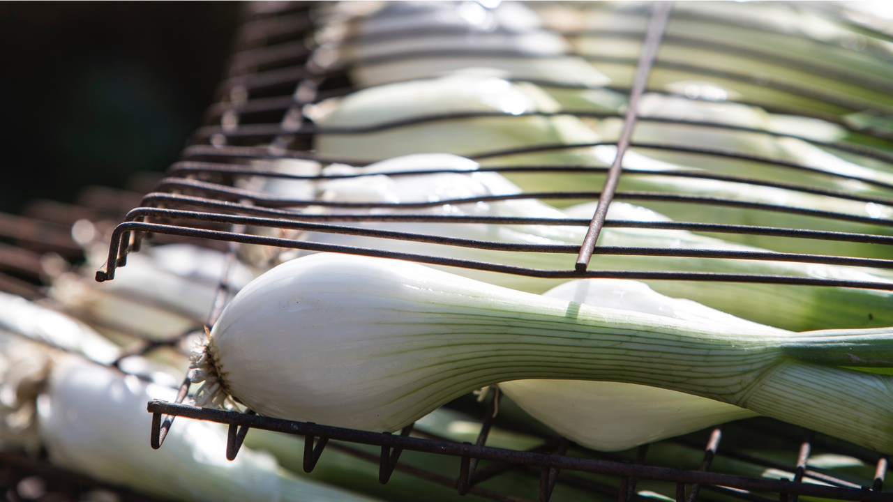 La calçotada en Romandie Accompagne-nous dans une expérience culinaire unique, qui allie saveurs méditerranéennes et paysages spectaculaires. Viens vivre la tradition catalane de la « calçotada » en cuisant les "calçots" sur le feu au milieu des vignes.