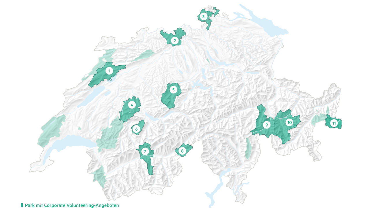 Corporate Volunteering in Schweizer Pärken Bei einem Volunteering-Einsatz sorgen körperliche Arbeit, lehrreiche Inputs, spannende Begegnungen sowie leckere Verpflegung für einen abwechslungsreichen Tag. Schweizer Naturpärke führen regelmässig Volunteering-Einsätze mit Firmen durch, die sich mit ihren Mitarbeitenden aktiv für die Umwelt engagieren möchten. Frische Luft sorgt für frische Impulse – die Firmen profitieren von begeisterten und motivierten Mitarbeitenden, die gemeinsam für einen guten Zweck anpacken, Spass haben und Abends müde, aber mit gutem Gefühl ins Bett sinken.