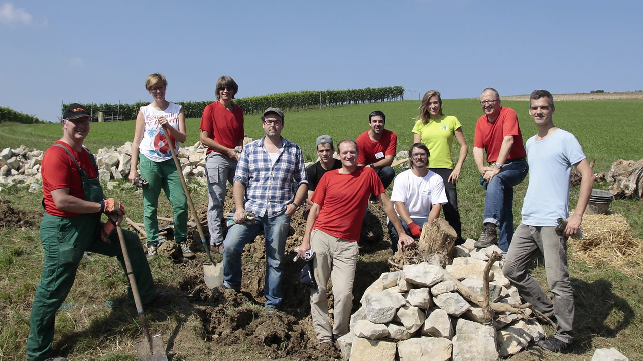 Corporate Volunteering in Schweizer Pärken Bei einem Volunteering-Einsatz sorgen körperliche Arbeit, lehrreiche Inputs, spannende Begegnungen sowie leckere Verpflegung für einen abwechslungsreichen Tag. Schweizer Naturpärke führen regelmässig Volunteering-Einsätze mit Firmen durch, die sich mit ihren Mitarbeitenden aktiv für die Umwelt engagieren möchten. Frische Luft sorgt für frische Impulse – die Firmen profitieren von begeisterten und motivierten Mitarbeitenden, die gemeinsam für einen guten Zweck anpacken, Spass haben und Abends müde, aber mit gutem Gefühl ins Bett sinken.