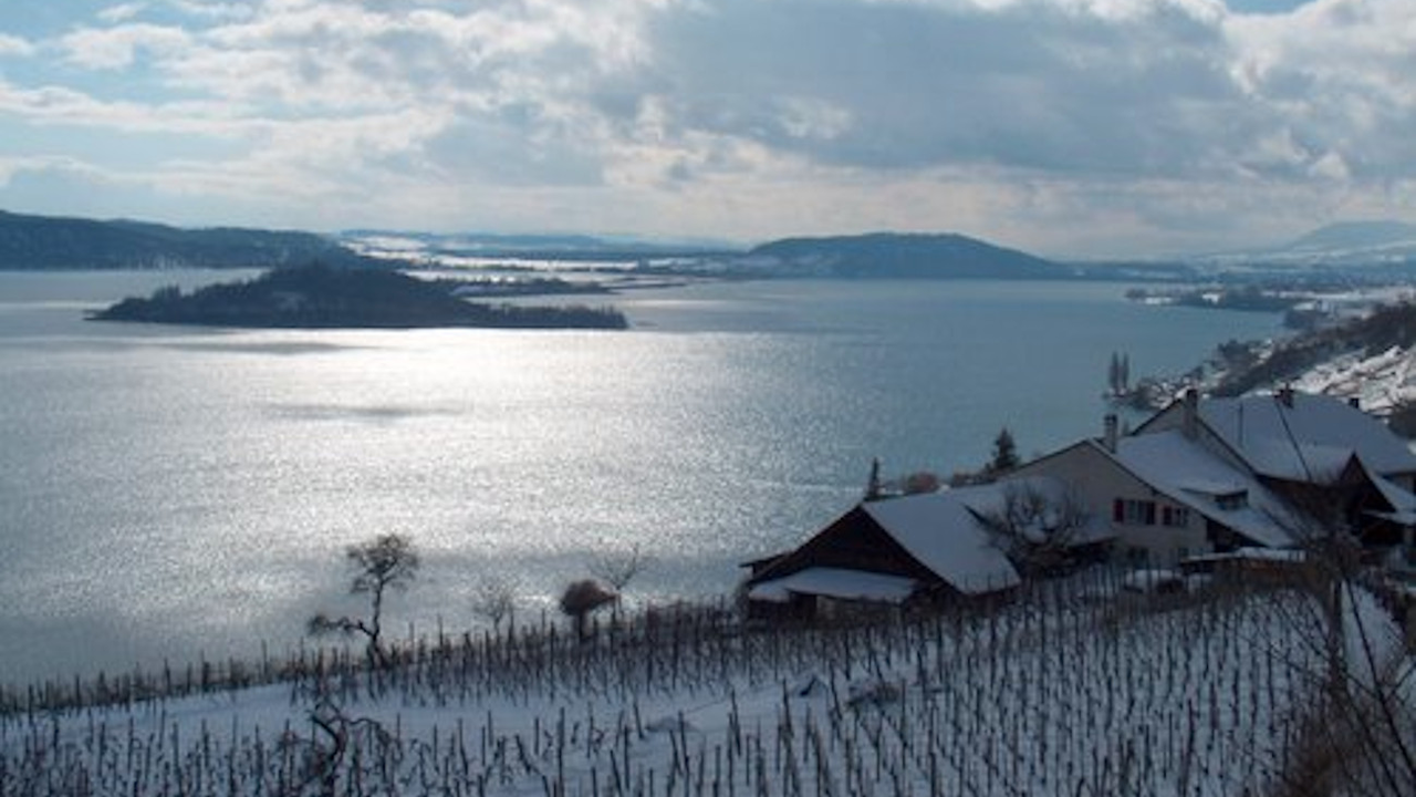 Sie möchten das Seeland und die dort angebauten lokalen Weinsorten kennenlernen? Dann ist ein Ausflug aufs Weingut in Twann in den Rebbergen am Bielersee mit Apéro und Degustation der regionalen Weine genau das Richtige für Sie.