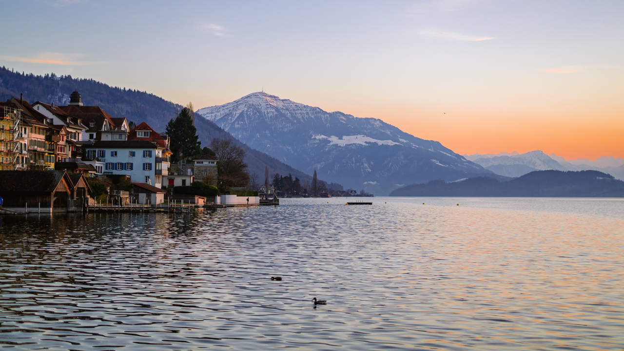 Schifffahrt mit Weinseminar und Käse Zug Geniessen Sie nach einem anstrengenden Seminar- oder Arbeitstag die frische Brise und die traumhafte Landschaft auf dem See. Unser Weinfachmann begeistert Sie während der Fahrt mit einem Seminar über Schweizer Weine. Dazu geniessen Sie passende Schweizer Käse.