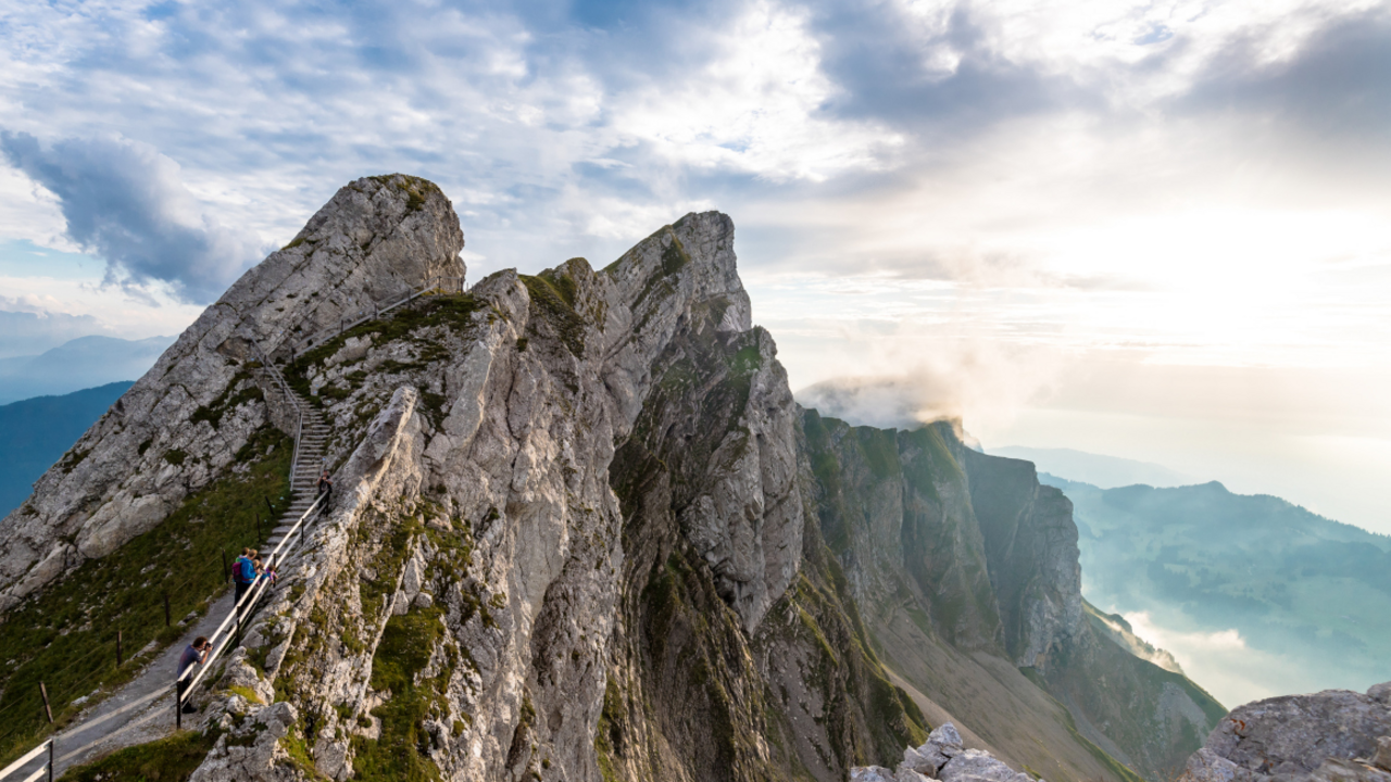 Erleben Sie die Steinböcke hautnah. Seit über 60 Jahren leben die wagemutigen Kletterer am Luzerner Hausberg. Die Kolonie zu beobachten, ist ein unvergessliches und beeindruckendes Erlebnis. Lokale, erfahrene Experten erzählen Ihnen unterwegs viel über Fauna und Flora, insbesondere natürlich über die Steinbockkolonie.