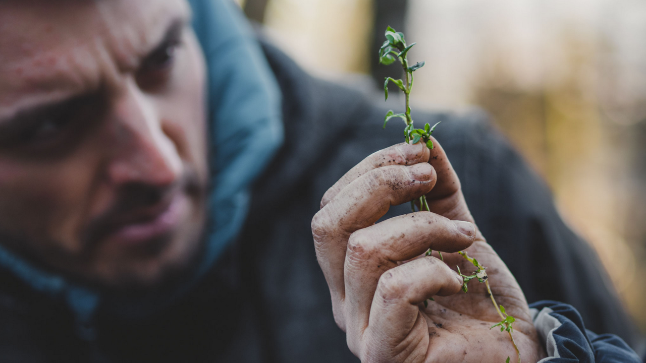 Survival Kurs In diesem kompakten Survival Training werden die Basisfähigkeiten für das Überleben in der Wildnis vermittelt. Dazu gehört auch eine Wildkräuterwanderung um die essbaren Pflanzen kennenzulernen. Der Kurs findet im Grossraum Zürich oder in der ganzen Schweiz statt. Ein echtes Erlebnis in der Natur.
