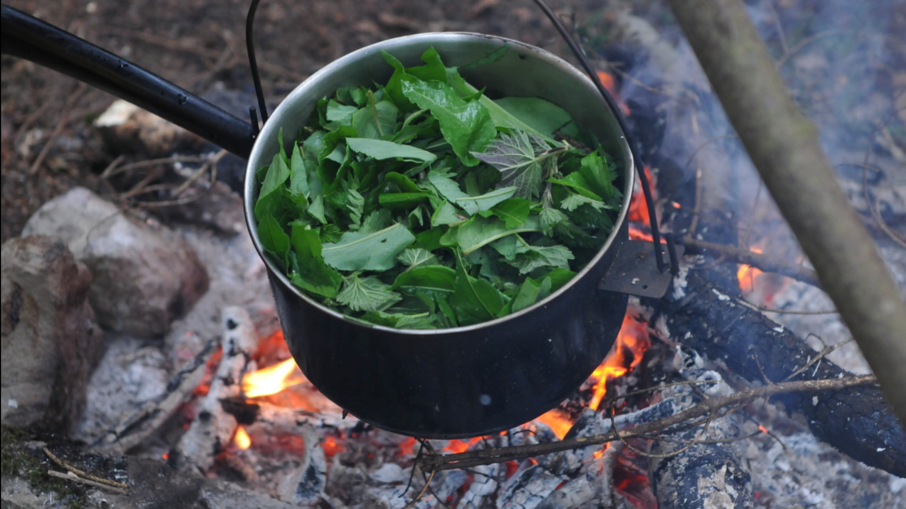 Survival Kurs In diesem kompakten Survival Training werden die Basisfähigkeiten für das Überleben in der Wildnis vermittelt. Dazu gehört auch eine Wildkräuterwanderung um die essbaren Pflanzen kennenzulernen. Der Kurs findet im Grossraum Zürich oder in der ganzen Schweiz statt. Ein echtes Erlebnis in der Natur.