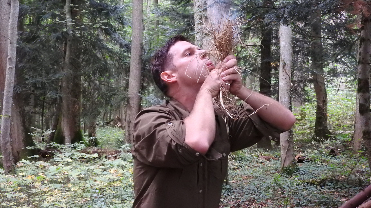 Survival Weekend Zwei Tage in und mit der Natur leben. Erlerne die wichtigsten Survival-Grundlagen und erfahre dabei die Natur ganz nah. Ein unvergessliches Erlebnis.