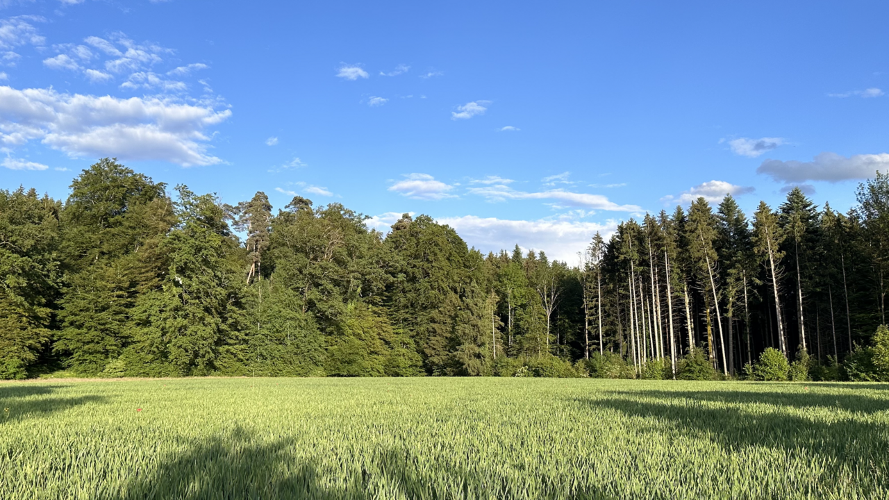 Erlebe einzigartige Team-Events, die Kochhandwerk mit Ernährungswissenschaft verbinden! Unsere exklusiven Kochkurse werden von erstklassigen Chefköchen geleitet und finden in hochwertigen Lokalitäten statt. Genieße Spaß und Freude bei unvergesslichen Team-Building-Momenten voller kulinarischer Höhepunkte und wertvollem Wissen! Entdecken, experimentieren, kreieren, genießen! Bei uns steht das Motto "Lernen durch Erfahrung" im Mittelpunkt, während wir gemeinsam kochen, backen, abschmecken und anrichten. Unser Fokus liegt auf modern regionaler und saisonaler Küche, die frisch, spannend, geschmackvoll, ausgewogen und wohltuend ist. Wir verwenden immer, wenn möglich, BIO-Zutaten.
