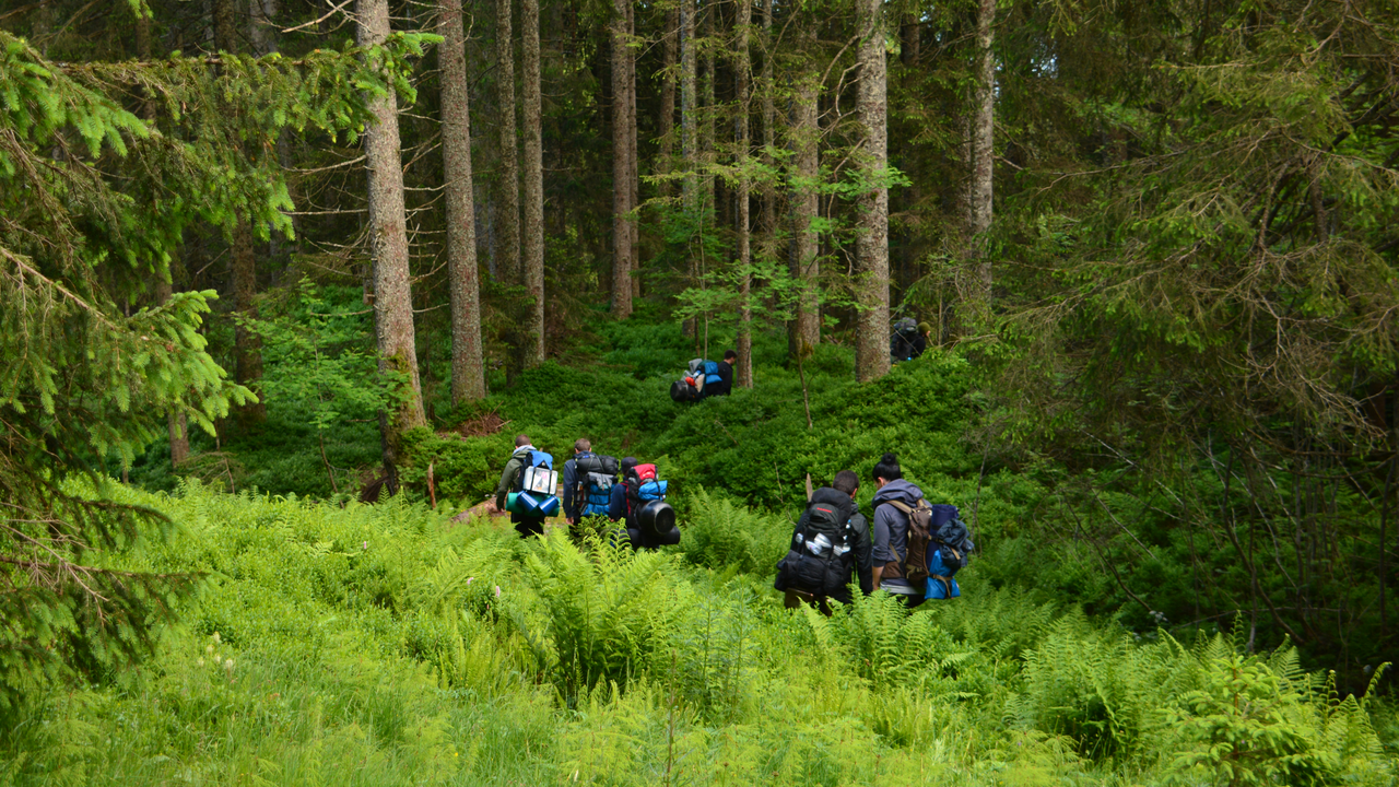 Nomadisch unterwegs im Team Ihr Team, Ihr Projektteam oder Ihr Kader ist nomadisch unterwegs. Wo möchten wir kochen? Welcher Platz eignet sich als Ort für eine Übernachtung? Wann brauche ich Phasen der Ruhe, wann bin ich aktiv? Die Reduktion der Aufgaben auf das Lebenswichtige ist ein zentrales Element von diesem Coaching.