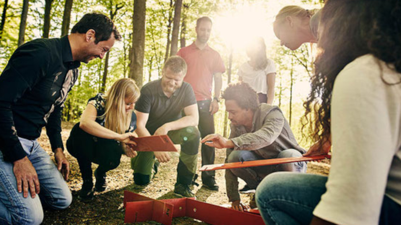 Teambuilding im Wald Aus der Komfortzone kommen und Grenzen sprengen! Verbringen Sie ein paar schöne und inspirierende Stunden mit Ihrem Team in einem artenvielfältigen und naturnahen Wald, tanken sie auf und stärken Sie den Teamspirit mit einer gemeinsamen kreativen Aktivität: eine Wald-Bahn bauen oder ein kreatives Waldkunstwerk kreieren. Oder möchten sie lieber einen aktiven Workshop in und mit der Natur für Ihr Team zum Thema innere Balance, Gesundheit stärken und neuen Elan Tanken?