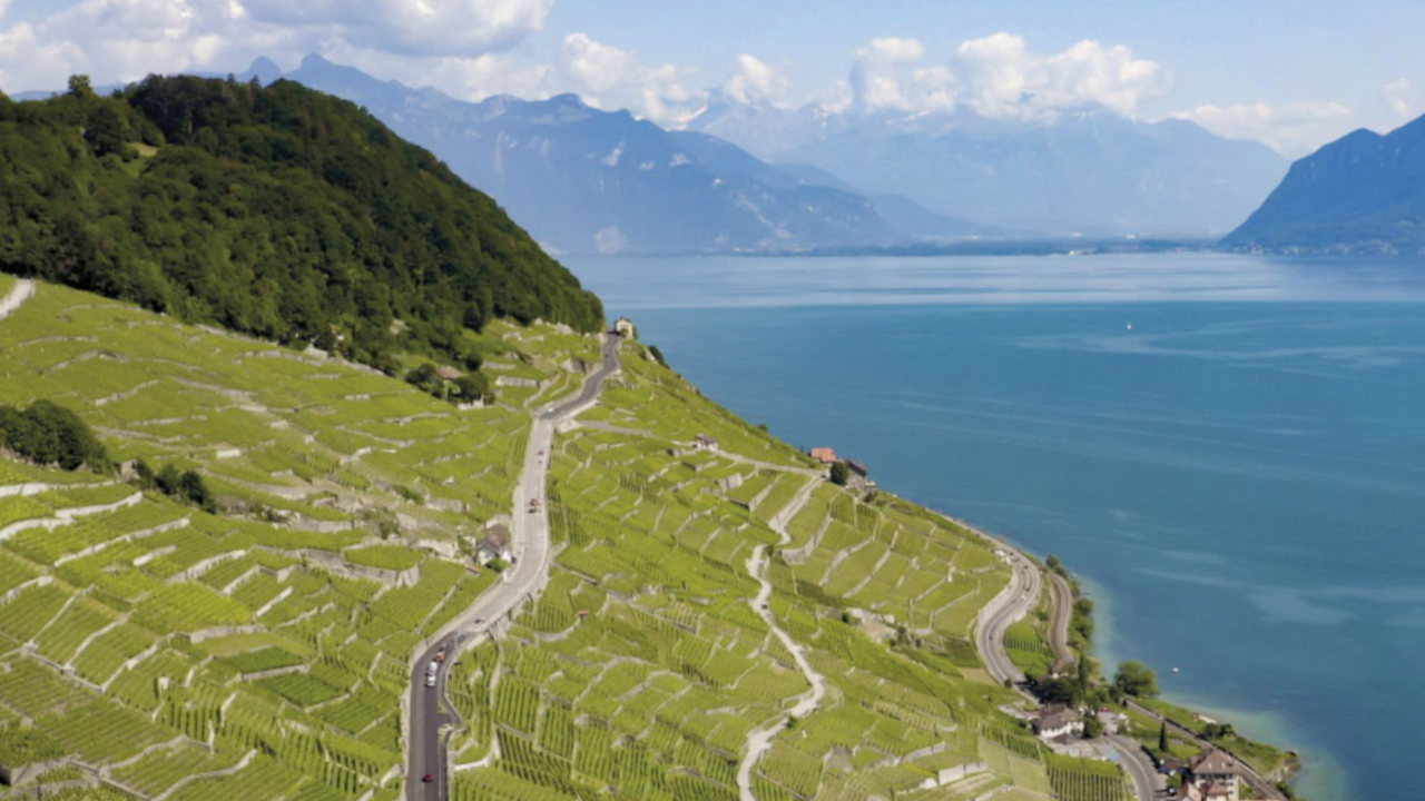 Cuisiner sur le feu au milieu des vignes et avec une vue imprenable sur le léman ! Oui c’est possible !