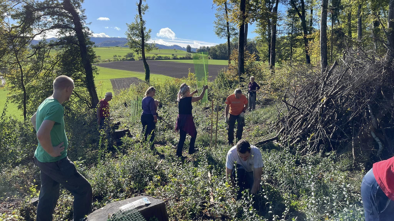 Teamspirit im Wald Möchten Sie einen unvergesslichen Tag im Wald erleben, den Teamgeist stärken und gleichzeitig einen wertvollen Beitrag für den Erhalt unserer Wälder leisten? Dann bieten wir Ihnen das perfekte Erlebnis. Verbringen Sie in Begleitung von Forstfachpersonen einen Tag im Wald und engagieren Sie sich gemeinsam mit Ihrem Team für diesen wertvollen Lebensraum.