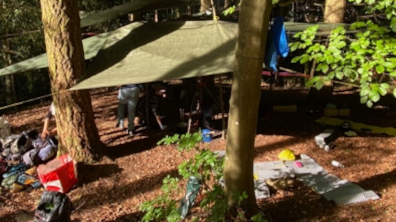 Ein Tag im Wald Zur Abwechslung den Tag nicht im Büro verbringen? Wann haben Sie als Team schon mal gemeinsam einen Tag einfach im Wald verbracht? Noch nie? Dann ist genau jetzt die richtige Zeit dafür!