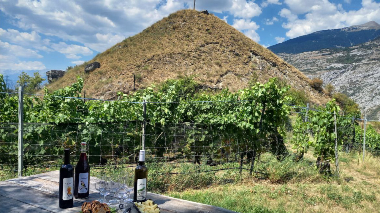 Wandern und Wein degustieren: Erfahren Sie bei einem Besuch im Weinberg, wie dank resistenter Rebsorten Weinbau auf natürliche Art möglich ist!