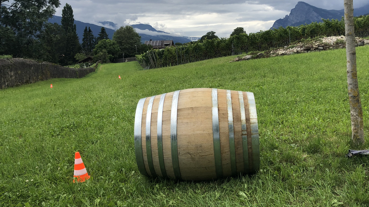 Winzer Challenge Bei dieser Challenge wird um die Wette degustiert und entkorkt, zudem verkosten Sie feinste Bündner Spezialitäten. Es wartet viel Spass auf die Teams. Die «Winzer Challenge» ist das innovative und originelle Konzept zur Teambildung – Sie werden alle zu Önologen. Sie arbeiten im Team bei der Herstellung Ihres eigenen Weines. Neben dem perfekten Cuvée aus sortenreinen Weinen braucht es ein passendes Etikett und eine kreative Marketing-Strategie. Nach der gemeinsamen Degustation und Präsentation geht ein Team als Sieger nach Hause.