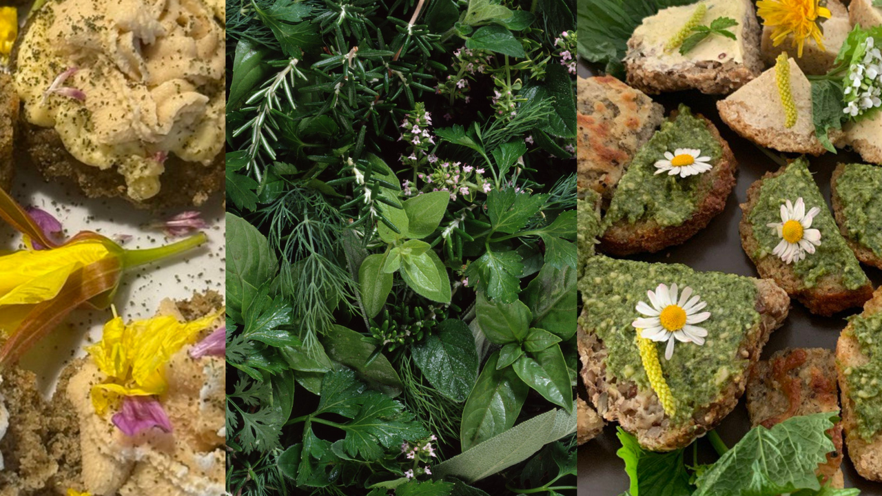 Entdecken Sie die Natur von ihrer genussvollsten Seite: ein besonderes Wildkräutererlebnis, das Achtsamkeit, Teamgeist und kulinarische Kreativität verbindet. Gemeinsam heimische Wildpflanzen entdecken, bestimmen lernen, sammeln und zu einem leckeren Menü kreieren. Ob als Firmenevent oder in privater Runde mit Freunden oder Familie - dieses Erlelbnis schafft bleibende Erinnerungen und inspiriert mit der Kraft der Natur.