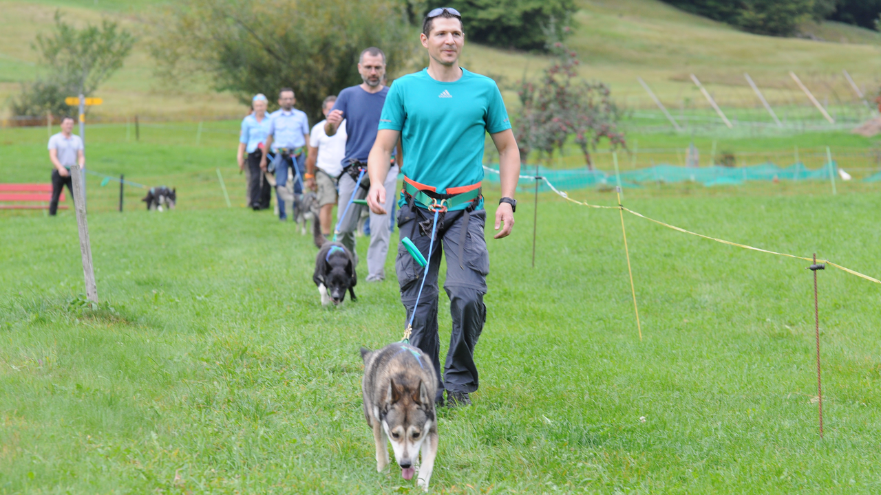 Führen und führen lassen – das Husky-Trekking bietet spannende und lebensnahe Erfahrungen zu diesem Thema.