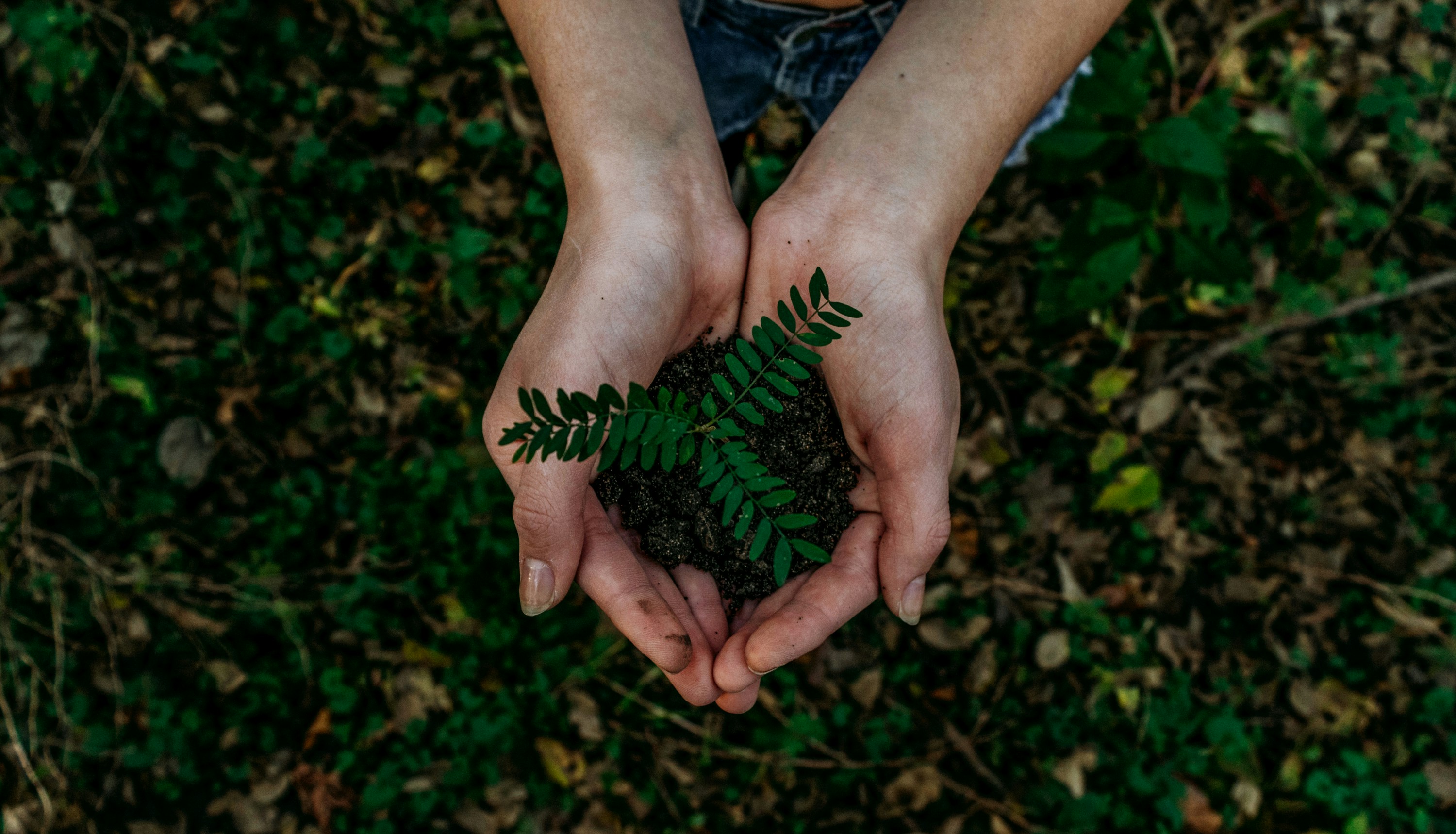 Foto von Noah Buscher auf Unsplash